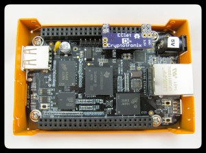 EClet attached to the Beagle's P9 Header